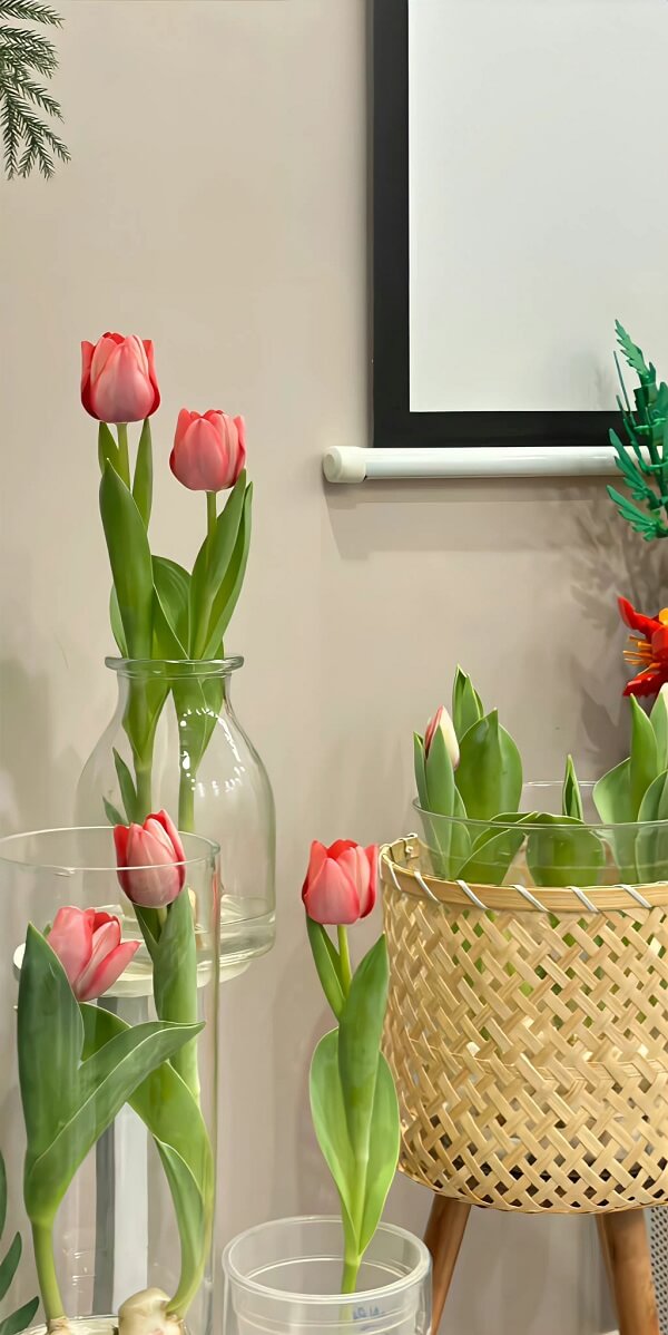 Tổng hợp 99+ Hình nền hoa tulip full HD cho điện thoại